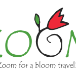Zomm Travel